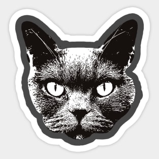 British Shorthair - British Shorthair Christmas Gifts Sticker